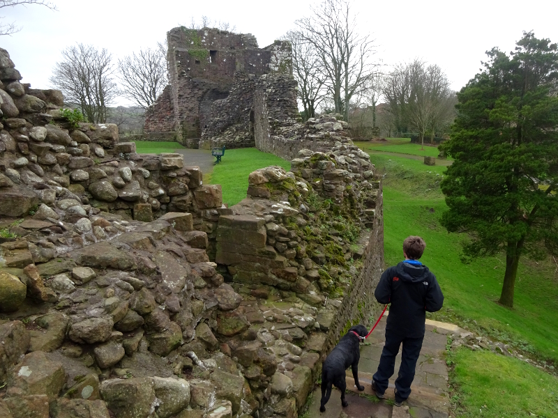 ruins of Egremont Castle